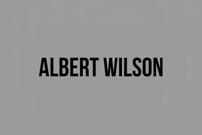 Raiders Sign WR Albert Wilson