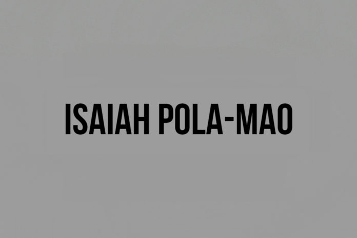Raiders sign S Isaiah Pola-Mao
